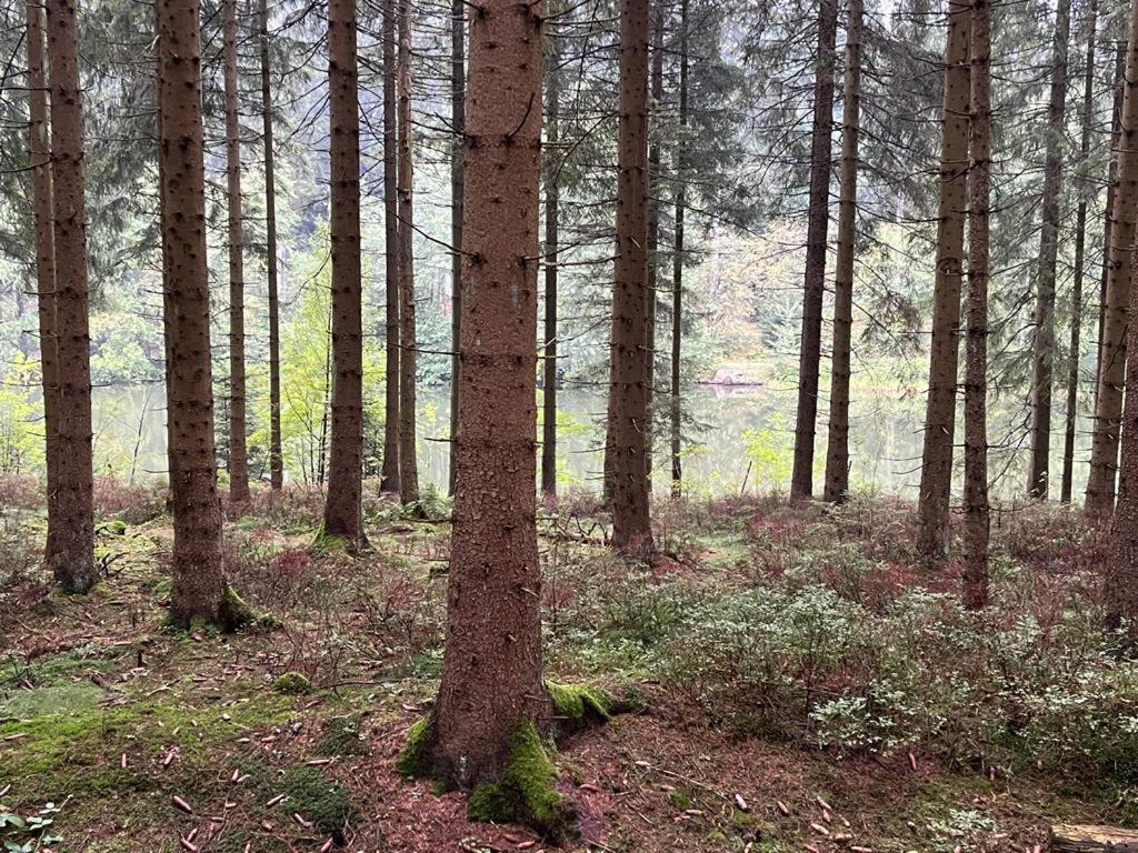 Gipfel Lounge Lägenhet Goslar Exteriör bild